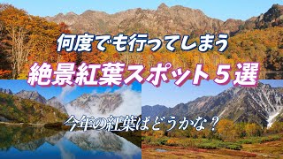 2024年の紅葉はどうかな❓ ”何度でも行ってしまう絶景紅葉スポット5選 天空の絶景紅葉” 行きたい場所みつかるかも！いや絶対見つかります！ [upl. by Colver]