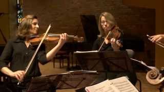 Haydn String Quartet No 53 in D Major Op 64  quotThe Larkquot [upl. by Aneerhs]