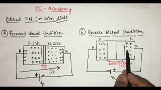 3 P N junction diode under forward bias and reverse bias Condition  EC Academy [upl. by Baker]