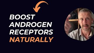 How To Increase Androgen Receptors  Heat Shock Proteins [upl. by Atteselrahc]