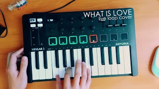 Haddaway  What Is Love Live Loop Cover  Minilab 3 [upl. by Mastrianni]