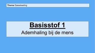 VMBO 4  Gaswisseling  Basisstof 1 Ademhaling bij de mens [upl. by Dell]