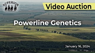 Powerline Genetics [upl. by Burkhart]