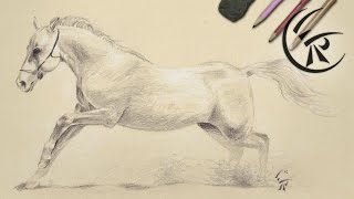 Drawing quotHorsequot ►► Timelapse [upl. by Inalej]