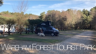 OUR FIRST FILM Wareham Forest Tourist Park  VW California T6 [upl. by Down]