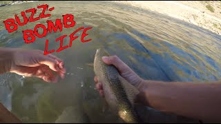 Buzz Bomb Life  Buzz Bomb Southern Alberta  River fishing [upl. by Eedahs477]