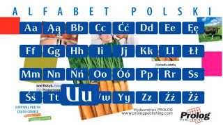 Alfabet polski  Polish Alphabet pronunciation  PROLOG Publishing [upl. by Olivero]