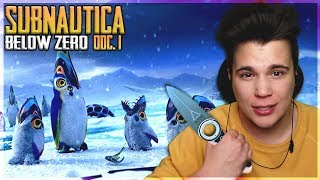 quotARKTYCZNYquot BIOM ❄️ Subnautica Below Zero 1 [upl. by Rimas]