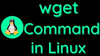 wget Command Explaind by a Cyber Security Expert  LinuxTeach  Tech 21 [upl. by Ellehcam411]