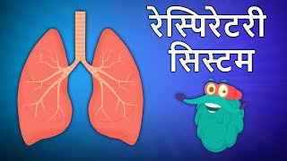 रेस्पिरेटरी सिस्टम  Respiratory System In Hindi  श्वसन तंत्र  DrBinocs Show  Binocs Ki Duniya [upl. by Yate]