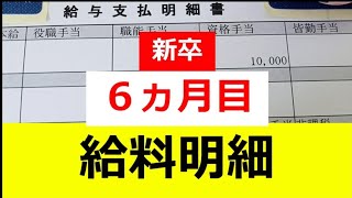 19歳 新卒6ヶ月目 給料明細を公開！振込手数料も取られてました😭 [upl. by Ahsienak]