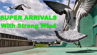 SUPER ARRIVALS With Strong Wind [upl. by Lila]