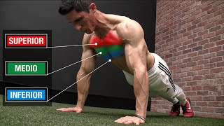 Rutina de FLEXIONES Perfecta 3 NIVELES ¡Pectorales  Pecho [upl. by Ithaman401]