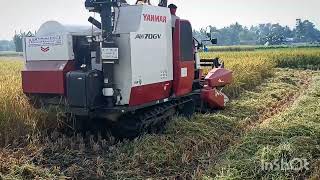 Harvester Video YANMAR AW 70 GV performance [upl. by Loesceke]