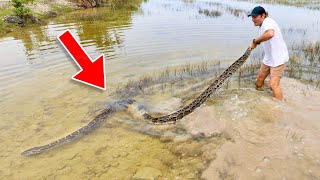 16 FOOT PYTHON FOUND IN FLORIDA  WE FOUND THE SWAMP MONSTER [upl. by Dominic]