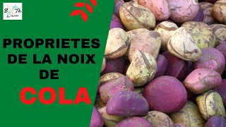 COLA  BIENFAITS ET PROPRIETES DU NOIX DE COLAS II Bectherapy [upl. by Ecirual465]