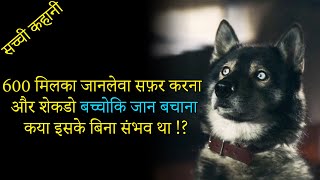 Togo Movie Explained In Hindi  Hollywood movies  True Story [upl. by Nerin]