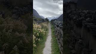 Walk in Langtang Village mountains langtang [upl. by Ameekahs681]