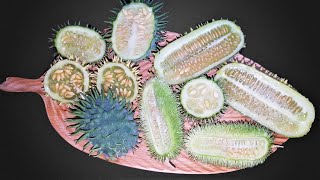 Fruit that looks like a giant bacteria  Cucumis Time Lapse  14 Days【4K】 [upl. by Renate]