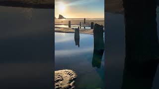 Ghost Forest Neskowin Oregon at low tide and sundown oregoncoast sunset goldenhour [upl. by Coriss492]