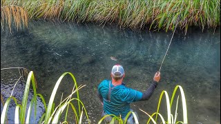 NEW ZEALAND FLY FISHING AT ITS BEST [upl. by Bindman]