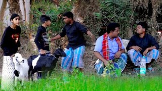 বিল্টারের পাঠা পোষা বদনাম দিলো ইন্তাজুল new comedy video [upl. by Fugate]