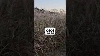 갈대밭을 걸으며한승기 연인 옛추억 애인 그때그사람 노래방애창곡 [upl. by Lorou]