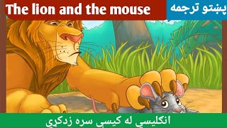 English story in pashto  English to pashto learning [upl. by Annah]