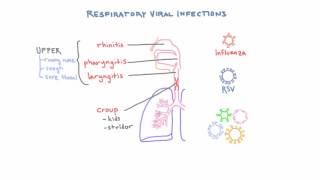 Respiratory Viruses  Clinical Presentations and Diagnosis [upl. by Lonnie]