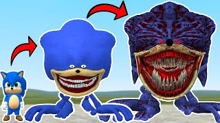 NEW EVOLUTION OF ZOOCHOSIS THE SONIC TAPES in Garrys Mod [upl. by Mcclure496]