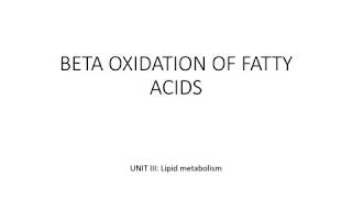 Beta oxidation of fatty acids Palmitic acid [upl. by Efinnej]