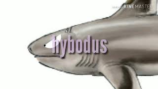 Stethacanthus vs hybodus [upl. by Jules]