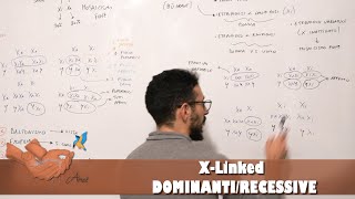 Malattie XLinked dominanti e recessive [upl. by Dur]