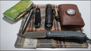 EDC Update  November 2024 [upl. by Eirallam]