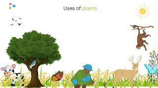 Uses of plants use of plants uses of plants for kids plants and their uses plant give us [upl. by Button]