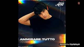 AMICI 21 ALEX WYSE  AMMIRARE TUTTO alexwvevo4734 [upl. by Templia494]