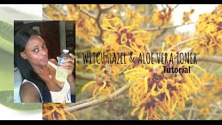 WITCH HAZEL AND ALOE VERA TONER  Tutorial [upl. by Nnaycart]