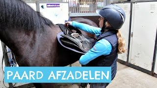 Hoe zadel je een paard af [upl. by Giesser]