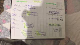 eicosinoids prostaglandins and leukotrienes classification mnemonic pharmacology [upl. by Einyaj536]