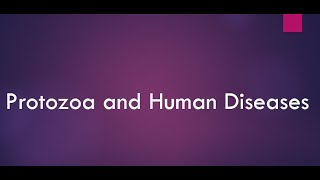 Protozoa and Human Diseases I Malaria I African Trypanosomiasis I Leishmaniasis I Toxoplasmosis [upl. by Eidroj]