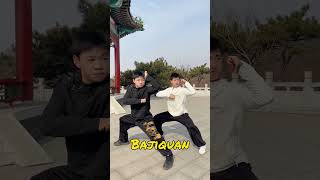 Bajiquan is powerful in actual combat kungfu [upl. by Gayla]