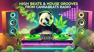 udiocom  Illuminate the Night  Cannabis Beats Hard House Big Beats 420 Music Stoner Beats [upl. by Eenert]