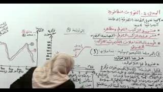 8 تفاعلات المرحلة الكميوضوئية 03 [upl. by Ecirtnahs611]