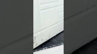 Door Bottom Sealing Strip  Protector from Cockroach Bugs AirampDust  Genuine Feedback [upl. by Ginder374]