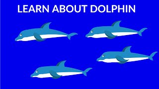 Interesting facts about dolphins  Dolphins video for kids [upl. by Hollinger786]