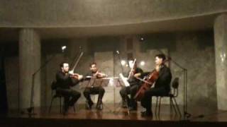 Quarteto de Cordas de Matosinhos [upl. by Sharai]