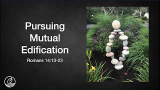 Pursuing Mutual Edification Romans 1414  Pastor Peter Moon  November 3 2024 [upl. by Ahsha]