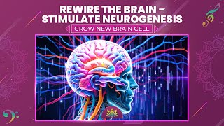 Rewire The Brain  Stimulate Neurogenesis  Grow New Brain Cell  Alpha Waves Relaxation [upl. by Harbour]