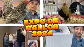 EXPO DE GALLOS KIKIRIKIS 😱🐓tuconMigoyocontiGo [upl. by Royal]