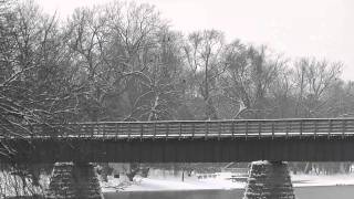 Bald Eagles Fox River Algonquin IL  2611 [upl. by Ojyma]